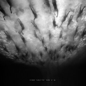Disse Fugle Får Ingen At Se (Vinyl LP)