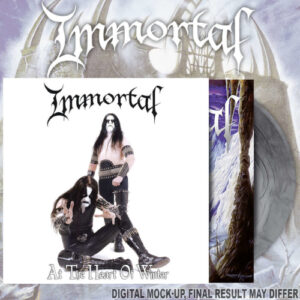At The Heart Of Winter (Black/Silver Vinyl LP)