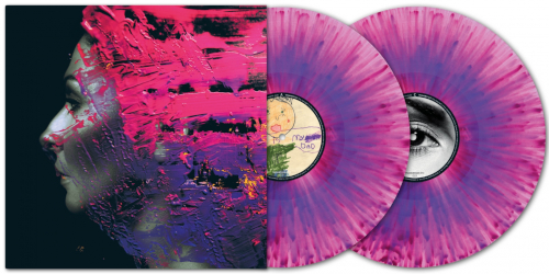 Hand Cannot Erase - 10th Anniversary (2 LP Vinyl)