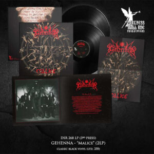 Malice (Our Third Spell) (2 LP Black Vinyl)