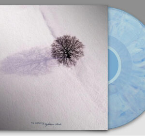 Nighttime Birds (Blueberry Vinyl LP)