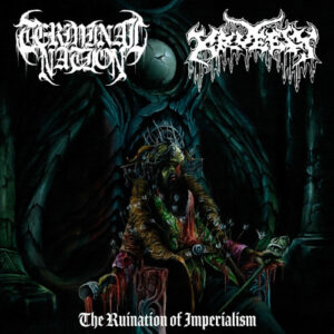 Ruination Of Imperialism (Blue Cloudy Vinyl LP)