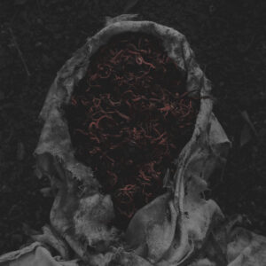 Stillamentum (Vinyl LP)