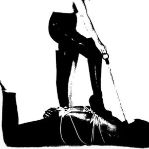 Idiot Ikon (Vinyl LP)