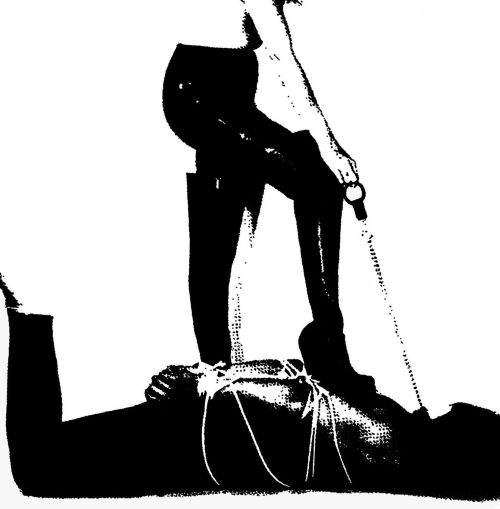 Idiot Ikon (Vinyl LP)